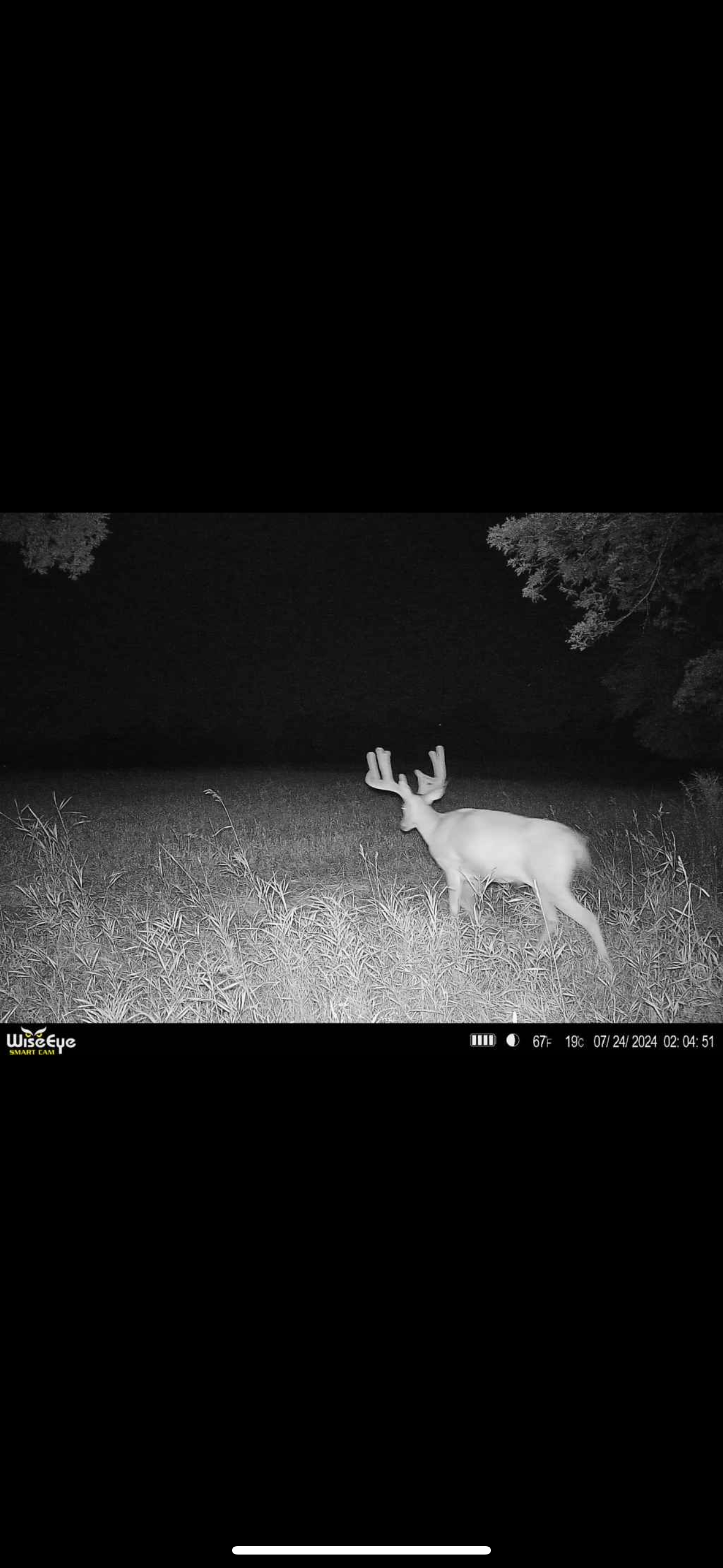 Trophy Tine Mineral- Crushin' Cherry 5lbs